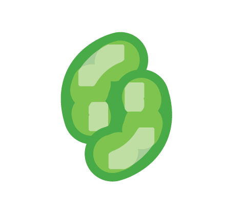 Pathogen 4